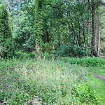 Holiday home Huiske Oan T Bos Lage Mierde