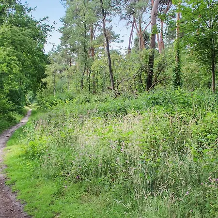 Huiske Oan T Bos Vakantiehuis *