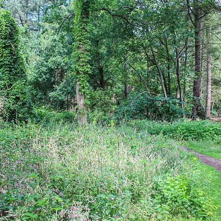 Сasa de vacaciones Huiske Oan T Bos Lage Mierde