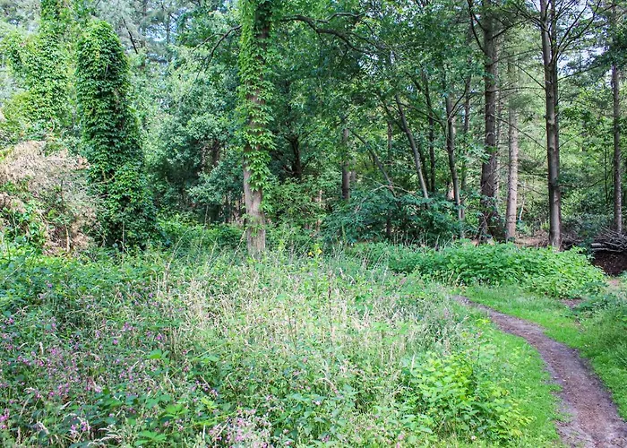 Hébergement de vacances Huiske Oan T Bos Lage Mierde